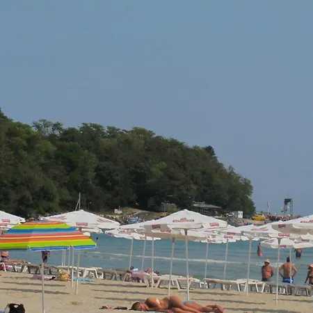 The Paradise Daire *